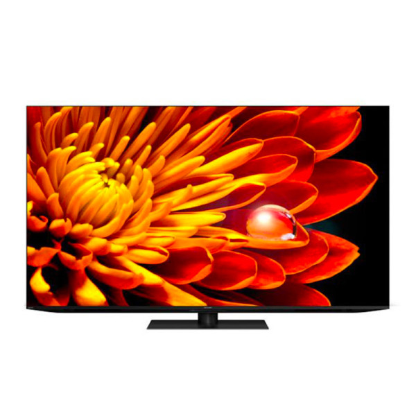 SHARP Mini XLED TV 4T-C65FV1X