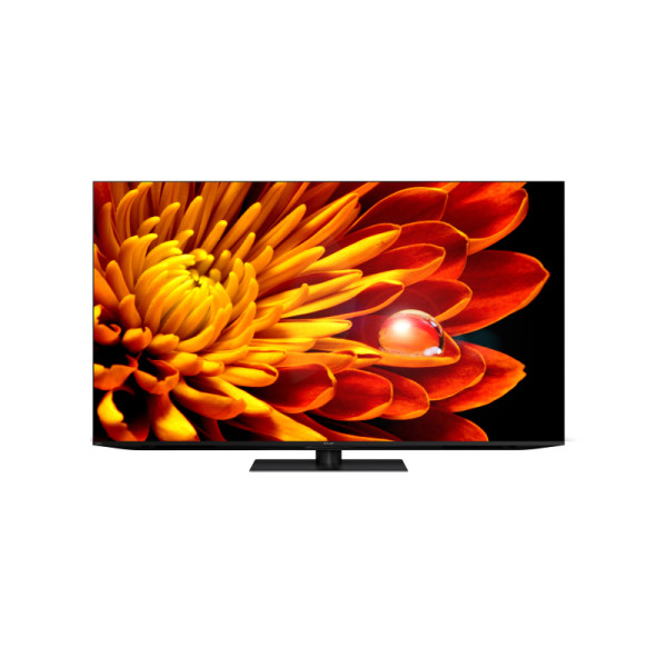 SHARP Mini XLED TV 4T-C65FV1X