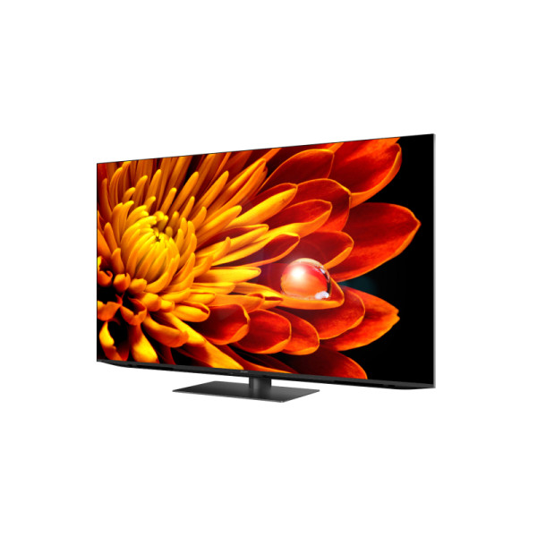 SHARP Mini XLED TV 4T-C65FV1X