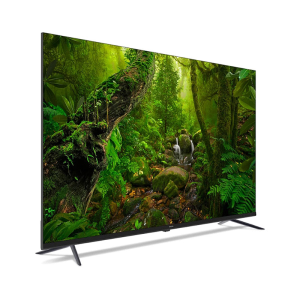 PHILIPS QLED TV 55PQT8169/98