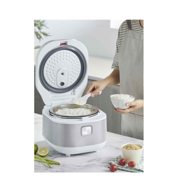 TEFAL RICE COOKER RK8621