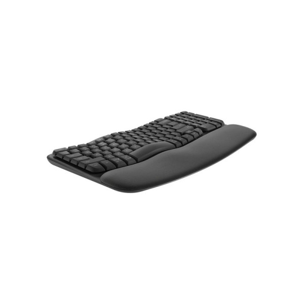 LOGITECH KEYBOARD 920-012281 (WAVE KEY GRAPHITE)