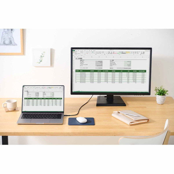 ELECOM CABLES MPA-CHDMIS10BK2