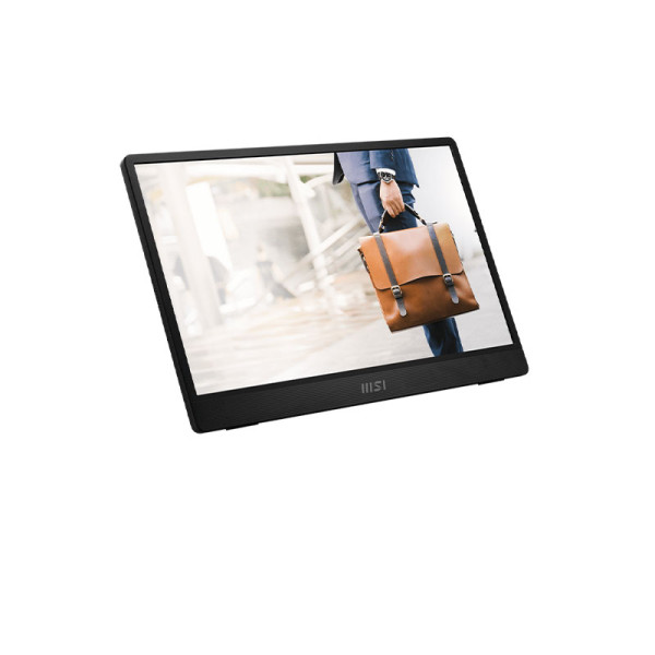 MSI MONITOR PRO MP161 E2