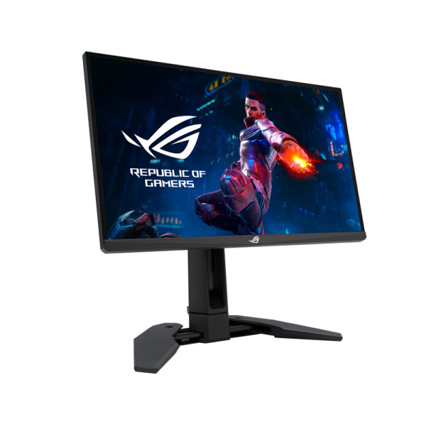 ASUS MONITOR PG248QP