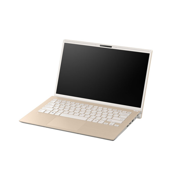 VAIO LAPTOP VJF142W061SN