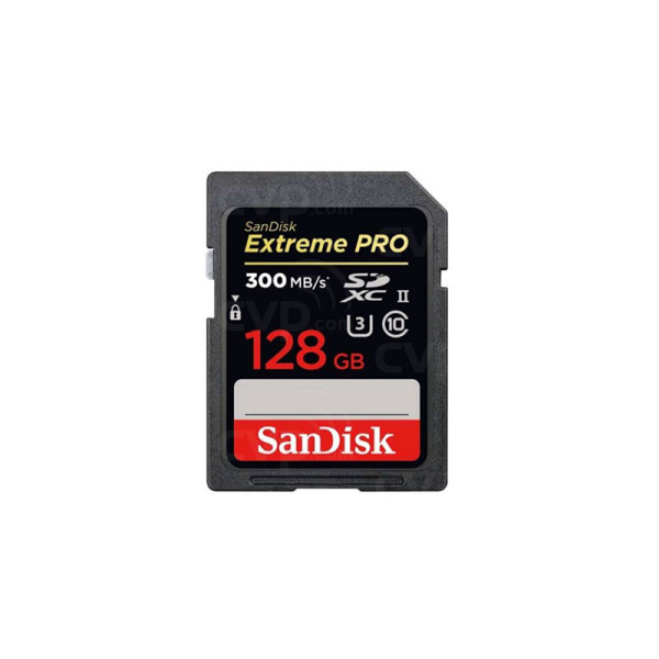 SANDISK MEMORY SD CARD SDSDXPK-128G-GN4IN