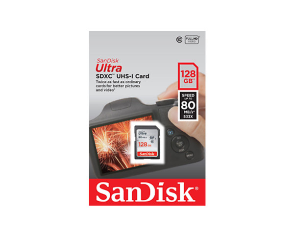 SANDISK MEMORY SD CARD SDSDUNR-128G-GN6IN