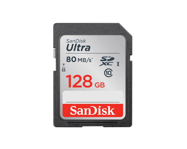 SANDISK MEMORY SD CARD SDSDUNR-128G-GN6IN
