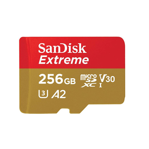 SANDISK MEMORY SD CARD SDSQXA1-256G-GN6MN