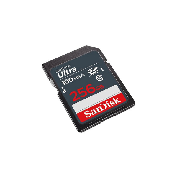 SANDISK MEMORY SD CARD SDSDUNR-256G-GN3IN