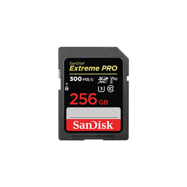 SANDISK MEMORY SD CARD SDSDXDK-256G-GN4IN