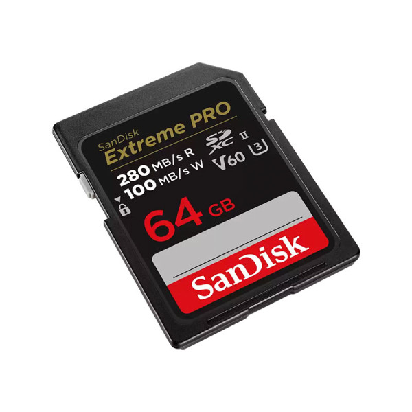 SANDISK MEMORY SD CARD SDSDXEP-064G-GN4IN