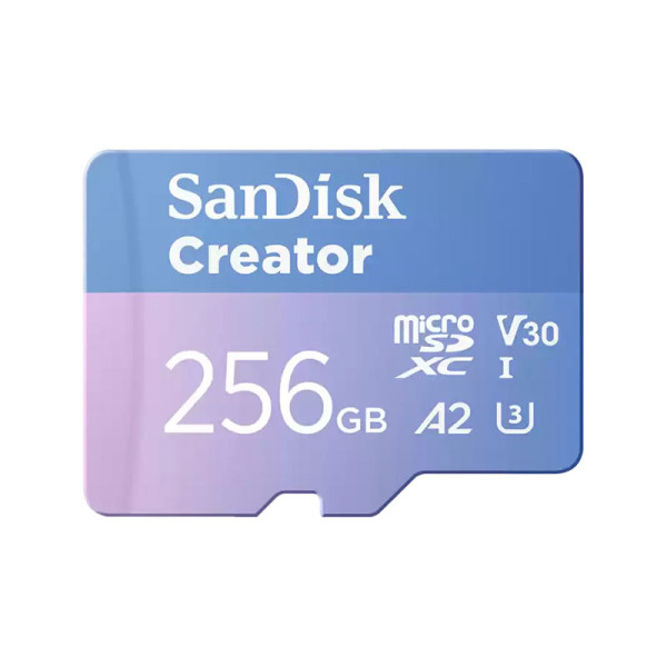 SANDISK MEMORY SD CARD SDSQXAV-256G-GN6MS