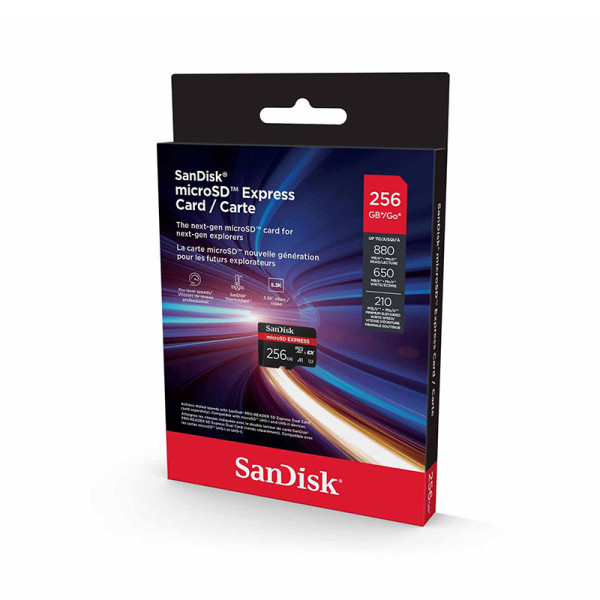 SANDISK MEMORY SD CARD SDSQXFN-256G-GN4NN