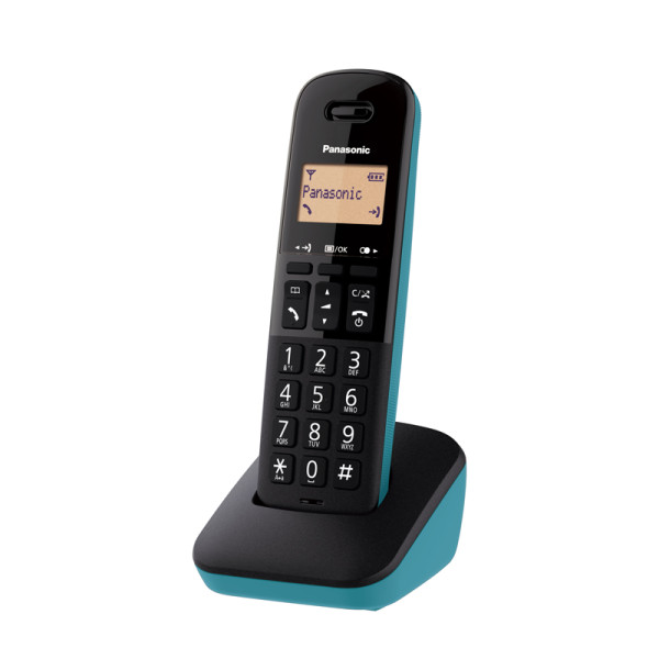 PANASONIC DECT PHONES KX-TGB310CXC