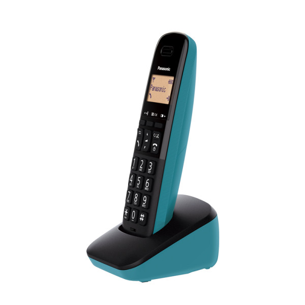 PANASONIC DECT PHONES KX-TGB310CXC