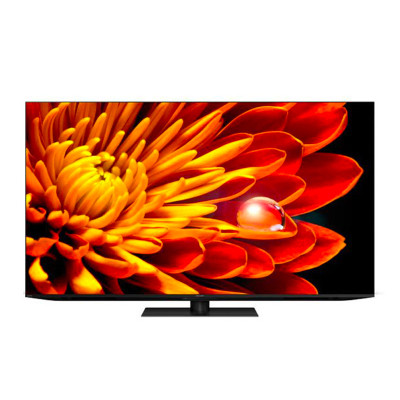 SHARP Mini XLED TV 4T-C65FV1X