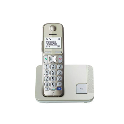 PANASONIC DECT PHONES KX-TGE210CXN