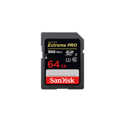 SANDISK MEMORY SD CARD SDSDXPK-064G-GN4IN
