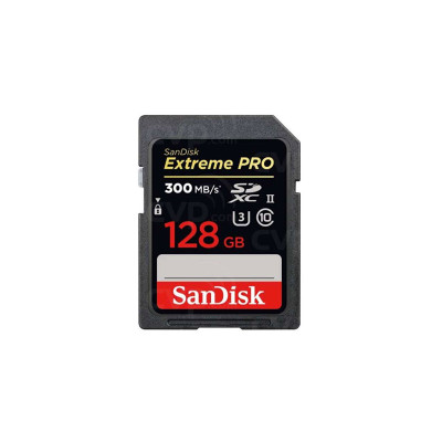 SANDISK MEMORY SD CARD SDSDXPK-128G-GN4IN