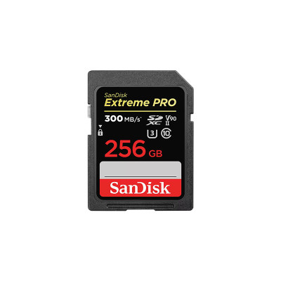 SANDISK MEMORY SD CARD SDSDXDK-256G-GN4IN