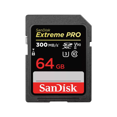 SANDISK MEMORY SD CARD SDSDXDK-064G-GN4IN