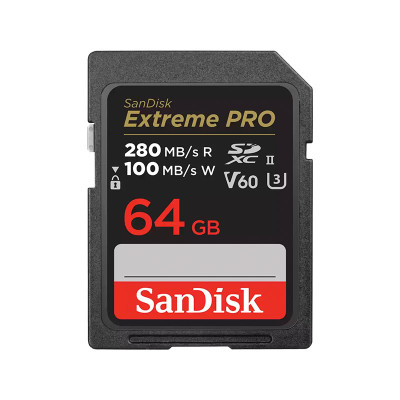 SANDISK MEMORY SD CARD SDSDXEP-064G-GN4IN