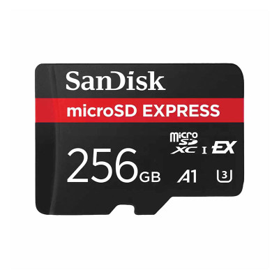 SANDISK MEMORY SD CARD SDSQXFN-256G-GN4NN