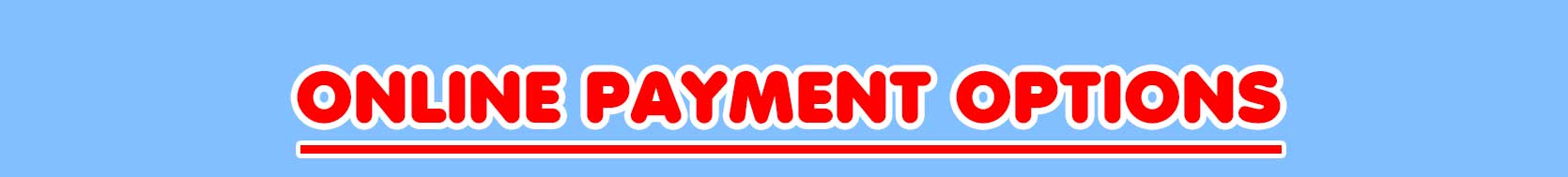 Online Payment Options